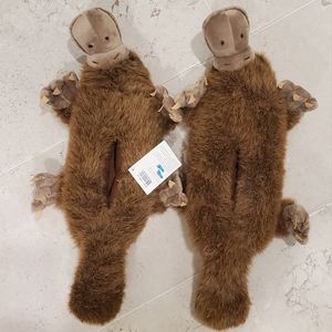 Platypus slippers